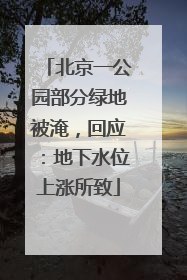 北京一公园部分绿地被淹，回应：地下水位上涨所致