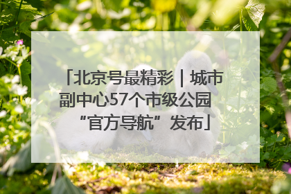 北京号最精彩｜城市副中心57个市级公园“官方导航”发布