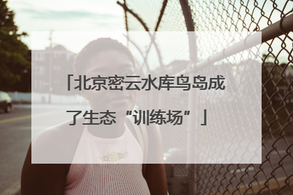 北京密云水库鸟岛成了生态“训练场”