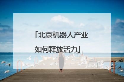 北京机器人产业如何释放活力