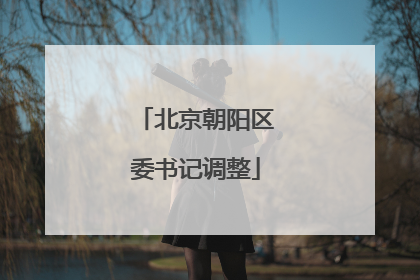 北京朝阳区委书记调整