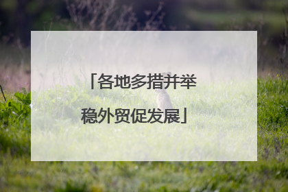各地多措并举稳外贸促发展