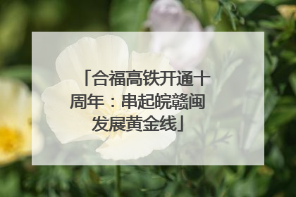 合福高铁开通十周年：串起皖赣闽发展黄金线