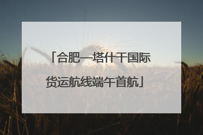 合肥—塔什干国际货运航线端午首航