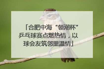 合肥中海“领潮杯”乒乓球赛点燃热情，以球会友筑邻里温情