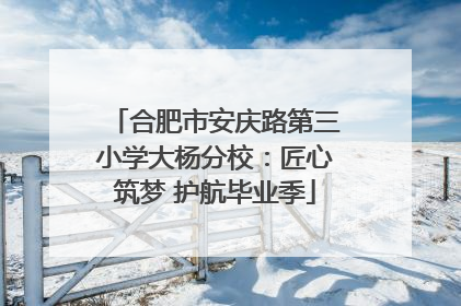 合肥市安庆路第三小学大杨分校：匠心筑梦 护航毕业季