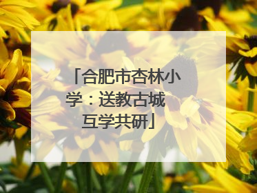 合肥市杏林小学：送教古城 互学共研