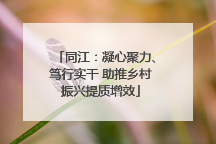 同江：凝心聚力、笃行实干 助推乡村振兴提质增效