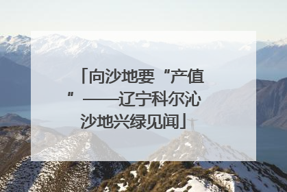 向沙地要“产值”——辽宁科尔沁沙地兴绿见闻