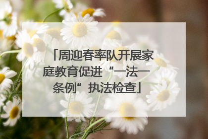 周迎春率队开展家庭教育促进“一法一条例”执法检查