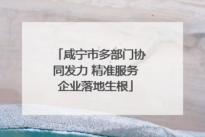 咸宁市多部门协同发力 精准服务企业落地生根
