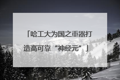 哈工大为国之重器打造高可靠“神经元”