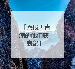 喜报！青浦的他们获表彰