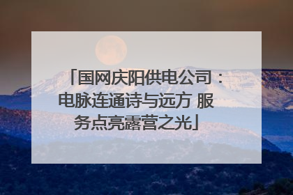 国网庆阳供电公司：电脉连通诗与远方 服务点亮露营之光