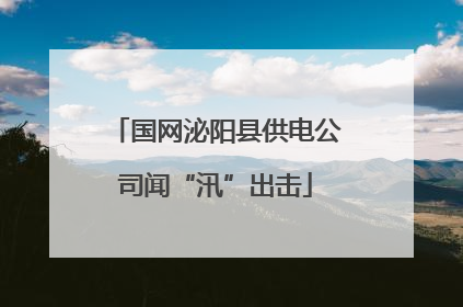 国网泌阳县供电公司闻“汛”出击