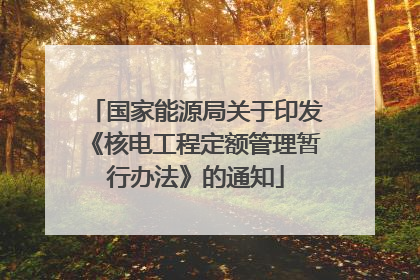 国家能源局关于印发《核电工程定额管理暂行办法》的通知