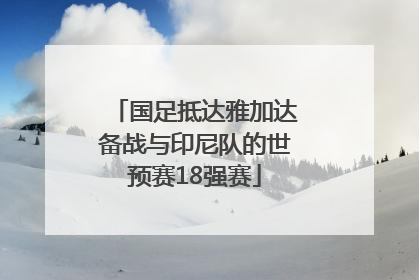 国足抵达雅加达备战与印尼队的世预赛18强赛