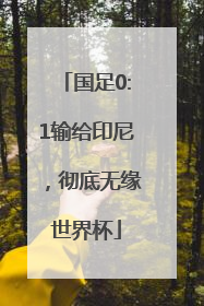 国足0:1输给印尼，彻底无缘世界杯