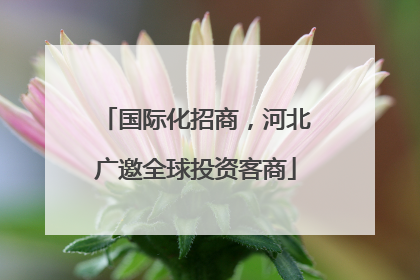 国际化招商，河北广邀全球投资客商