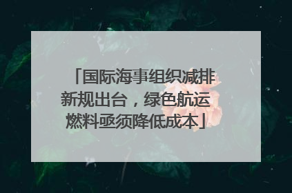 国际海事组织减排新规出台，绿色航运燃料亟须降低成本
