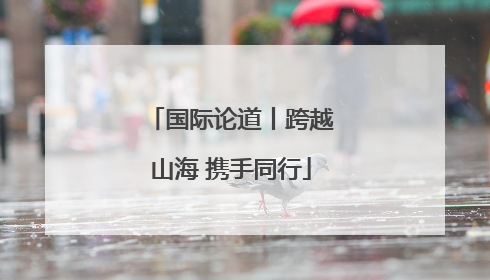 国际论道丨跨越山海 携手同行
