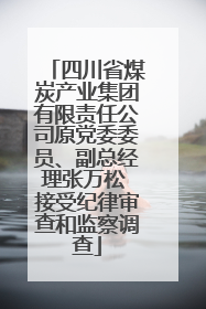 四川省煤炭产业集团有限责任公司原党委委员、副总经理张万松 接受纪律审查和监察调查