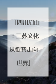 四川眉山：三苏文化从街巷走向世界