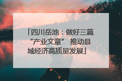 四川岳池：做好三篇“产业文章” 推动县域经济高质量发展