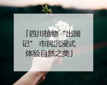 四川植物“出国记” 市民沉浸式体验自然之美