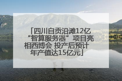 四川自贡沿滩12亿“智算服务器”项目亮相西博会 投产后预计年产值达15亿元