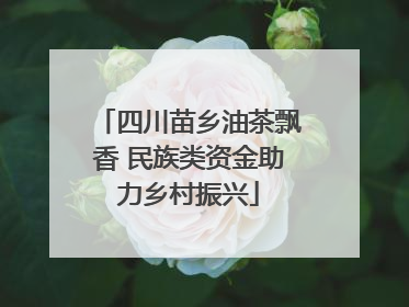 四川苗乡油茶飘香 民族类资金助力乡村振兴