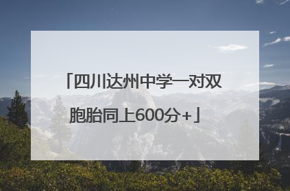四川达州中学一对双胞胎同上600分+