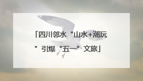 四川邻水“山水+潮玩”引爆“五一”文旅