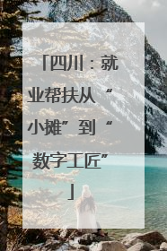 四川：就业帮扶从“小摊”到“数字工匠”