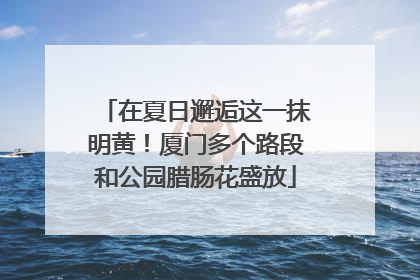 在夏日邂逅这一抹明黄！厦门多个路段和公园腊肠花盛放