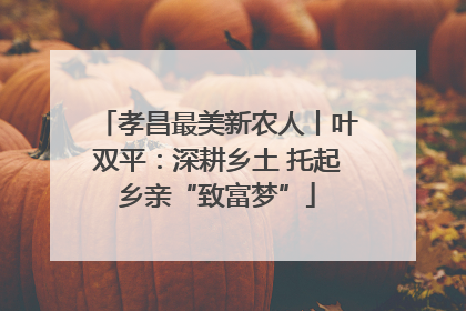 孝昌最美新农人丨叶双平：深耕乡土 托起乡亲“致富梦”