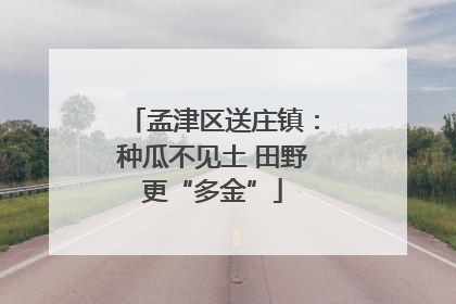孟津区送庄镇：种瓜不见土 田野更“多金”