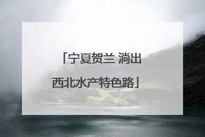 宁夏贺兰 淌出西北水产特色路