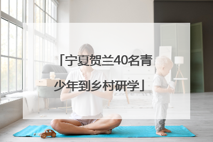 宁夏贺兰40名青少年到乡村研学