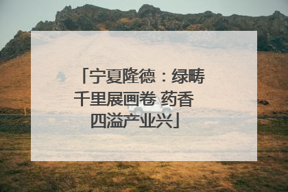 宁夏隆德：绿畴千里展画卷 药香四溢产业兴