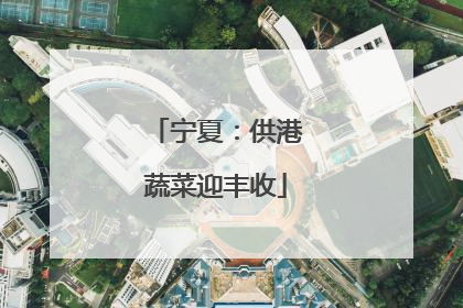 宁夏：供港蔬菜迎丰收