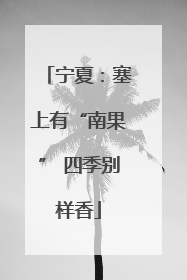宁夏：塞上有“南果” 四季别样香