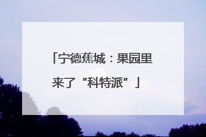宁德蕉城：果园里来了“科特派”
