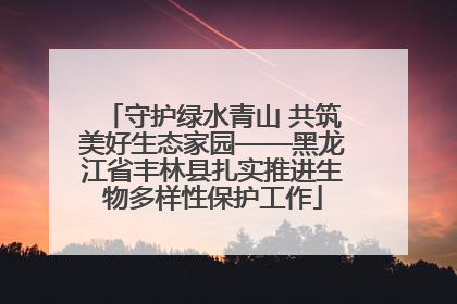 守护绿水青山 共筑美好生态家园——黑龙江省丰林县扎实推进生物多样性保护工作