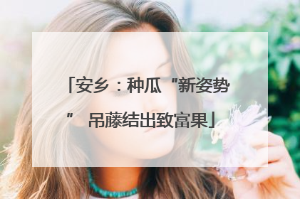 安乡：种瓜“新姿势” 吊藤结出致富果