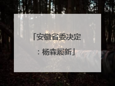 安徽省委决定：杨森履新