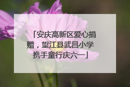 安庆高新区爱心捐赠，望江县武昌小学携手童行庆六一