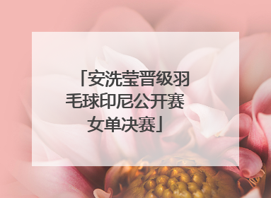 安洗莹晋级羽毛球印尼公开赛女单决赛