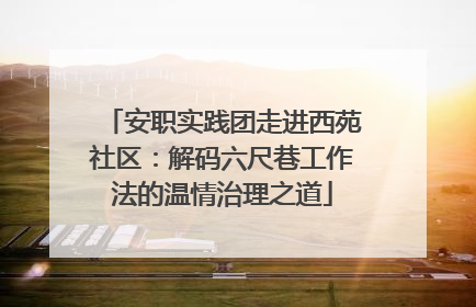 安职实践团走进西苑社区：解码六尺巷工作法的温情治理之道