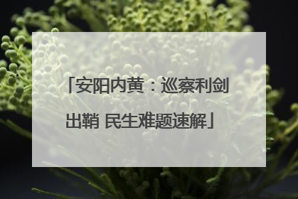 安阳内黄：巡察利剑出鞘 民生难题速解